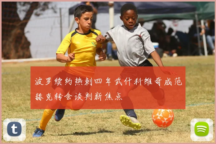 波罗续约热刺四年武什科维奇成范赫克转会谈判新焦点