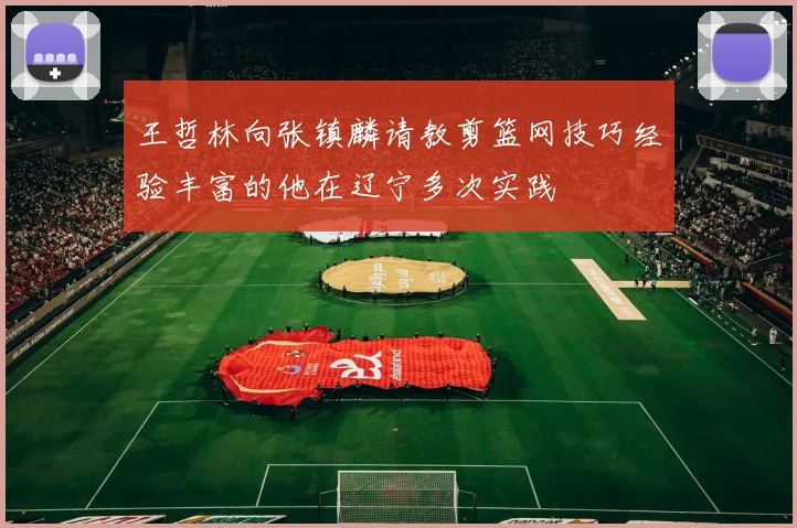 王哲林向张镇麟请教剪篮网技巧经验丰富的他在辽宁多次实践